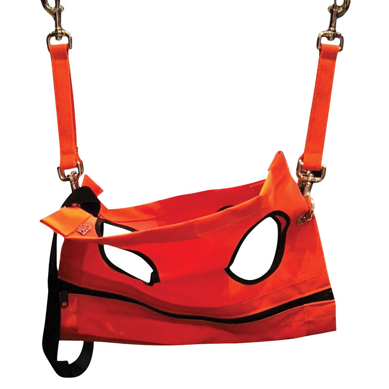 Aeolus, Grooming Hammock image number null